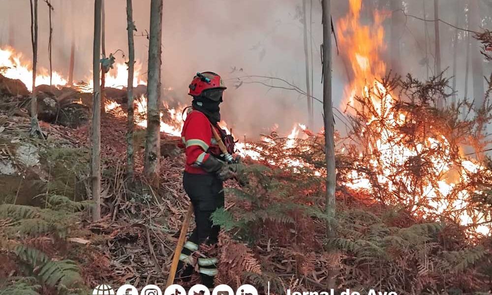 Jovem Detido Por Inc Ndio Que Colocou Casas Em Risco Em Monte C Rdova