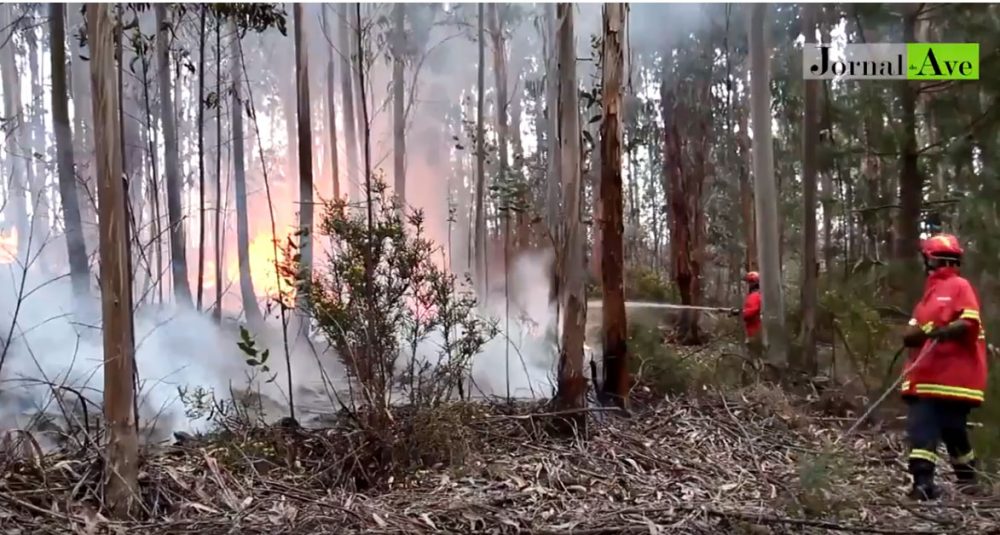 Incêndio Agrela Água Longa